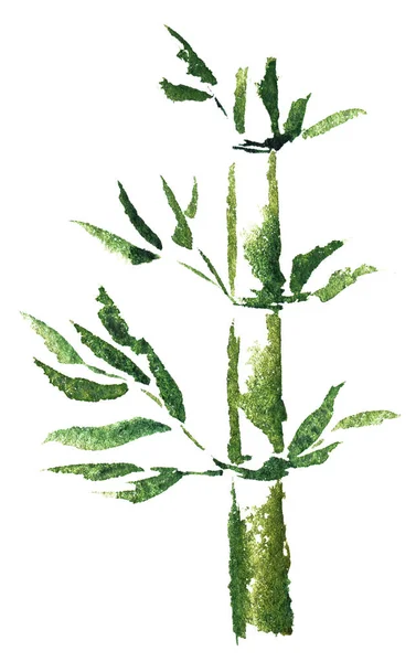 Aquarela Mão Desenhado Folhas Verdes Isolado Fundo Branco — Fotografia de Stock