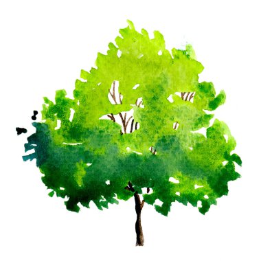 Yapraklı yeşil ağaç. El çizimi suluboya resim, beyaz arka planda izole edilmiş. Gazeteye renkli bir şekilde sıçramış. Fırça fırçasıyla ıslanmış desen. Stil haline getirilmiş yaz ağacı. Eko tasarımı