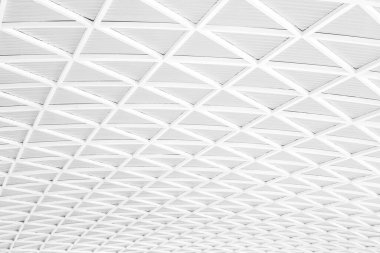 Modern beyaz çatılı çelik mimari yapı.