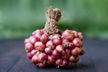 Shallot soğan. Koyu kırsal ahşap arka planda bir grup..