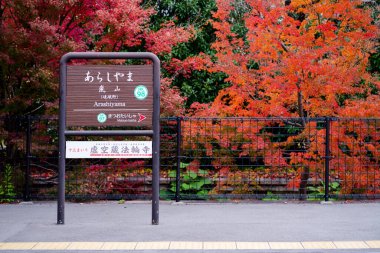  Japonya 'da sonbaharda akçaağaç yaprakları ya da Momijigari. Parktaki bilgi panosu