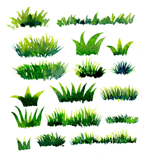 Textura Natural Las Plantas Verdes —  Fotos de Stock