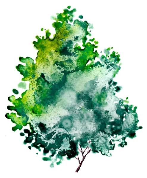 Zöld Levelekkel Kézzel Rajzolt Akvarell Festészet Izolált Fehér Háttér — Stock Fotó