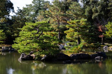 Doğa. Parktaki güzel gölet
