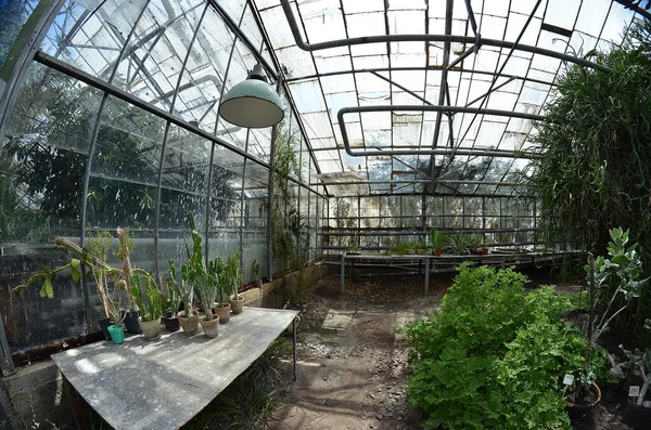 A botanical garden. The plants in the botanical garden, a fisheye lens photo.