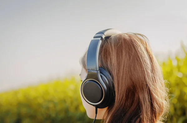 A photography of girl who is listening to the music in the headphones. The picture was taken from the back (back of the head). A picture was taken in summer near the corn field.