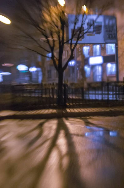 Por Noche Árbol Con Una Larga Sombra Tarde Otoño Capturado —  Fotos de Stock