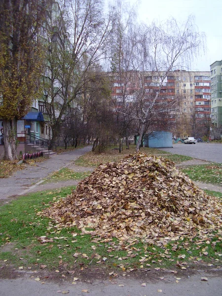 Hromada Listí Ukrajinském Městě Ulice Rezidenční Čtvrti Postsovětské Zemi Podzim — Stock fotografie