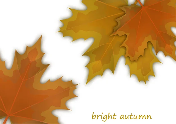 Autumn Background Bright Yellow Orange Leaves Maple Beautiful Colored Autumn — Stock Vector