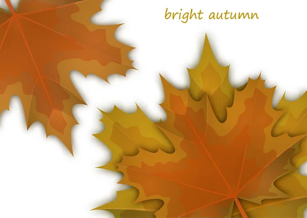 もみじの鮮やかな黄色とオレンジの葉を持つ秋の背景 美しい色の秋 ベクターイラスト — ストックベクタ