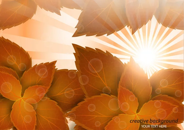 Güneş Işınları Boyunca Parlak Yaratıcı Yapraklar Parlak Güneş Bulanık Arka — Stok Vektör