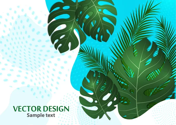 Fondo Tropical Abstracto Con Hojas Palma Monstera Composición Con Plantas — Vector de stock