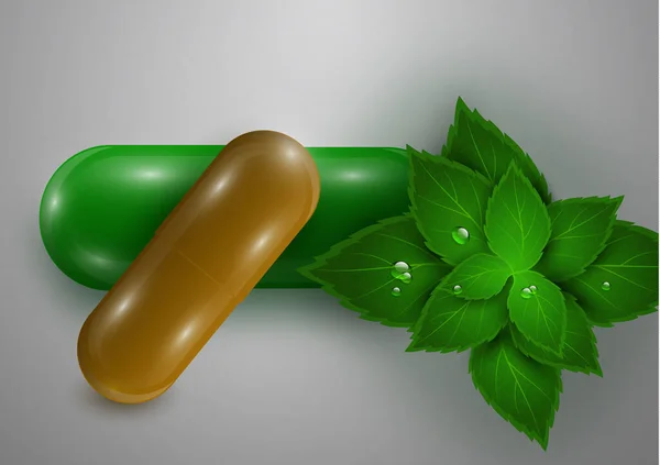 약초의 잎으로 배경을 만들었습니다 건강을 비타민 사이트를 포스터 의약품 일러스트 — 스톡 벡터