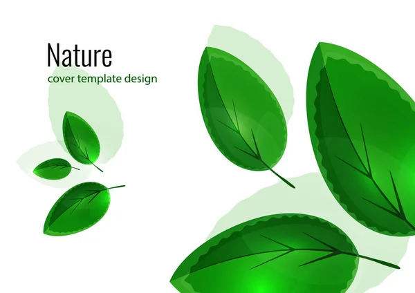 Friss Élénk Zöld Levelek Kreatív Nyári Háttér Design Vektorillusztráció — Stock Vector