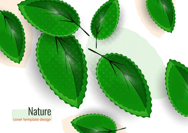 Frische Grüne Blätter Auf Weißem Grund Kreativer Abstrakter Hintergrund Für — Stockvektor