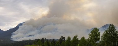 - George? Bahçe Yolu. Batı Burnu. Güney Afrika. 2018-10-29. Şehrin kuzeyindeki Outeniqua Dağları 'nda yangın çıktı. Yaklaşık 90 bin hektar yandı ve 8 kişi yangında can verdi.
