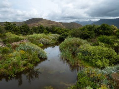Riviersonderend Nehri 'ni çevreleyen ağacın manzarası kara kara düşünen bulutlu bir gökyüzünün altında akıyor. Greyton yakınlarında. Batı Burnu. Güney Afrika.