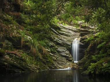 Orman şelalesi. Bahçe Yolu. Batı Burnu. Güney Afrika
