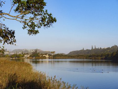 Touw Nehri. Vahşi doğa. Bahçe Yolu. Batı Burnu. Güney Afrika