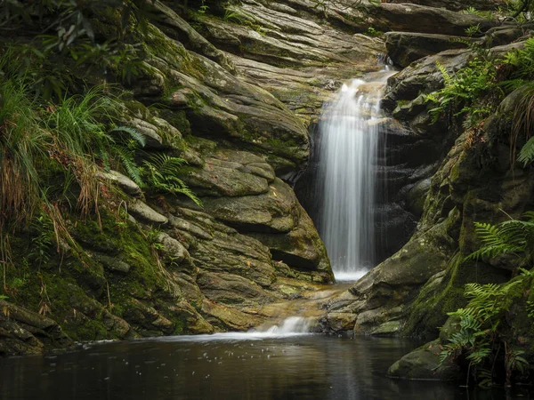 Cascade Forêt Route Jardin Western Cape Afrique Sud — Photo