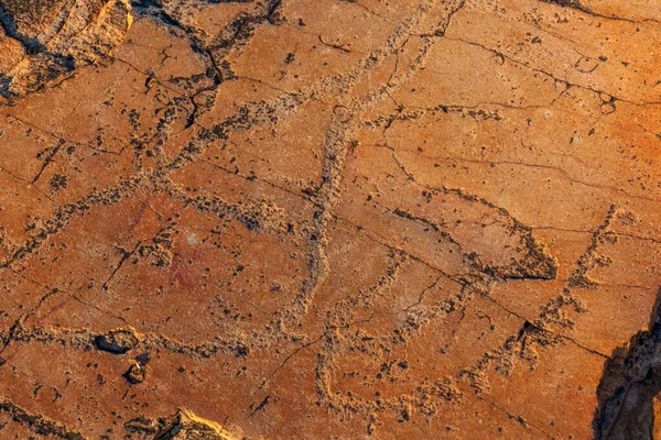 San Bushman Petroglyph Gravura Rocha Cabo Norte África Sul — Fotografia de Stock