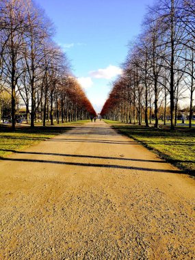 Almanya - Hannover. Hanover 'deki en güzel cadde olan Alman Georgengarten' ında yürüyoruz..