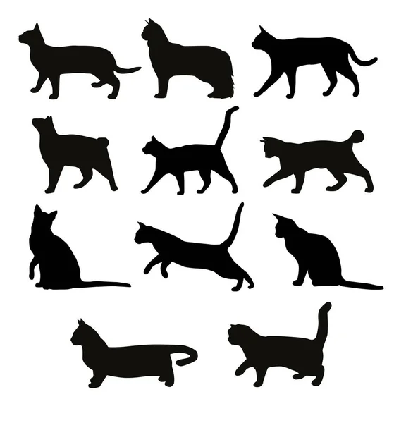 Vector Set Black Cats Silhouettes Playing Cats — Stock Vector