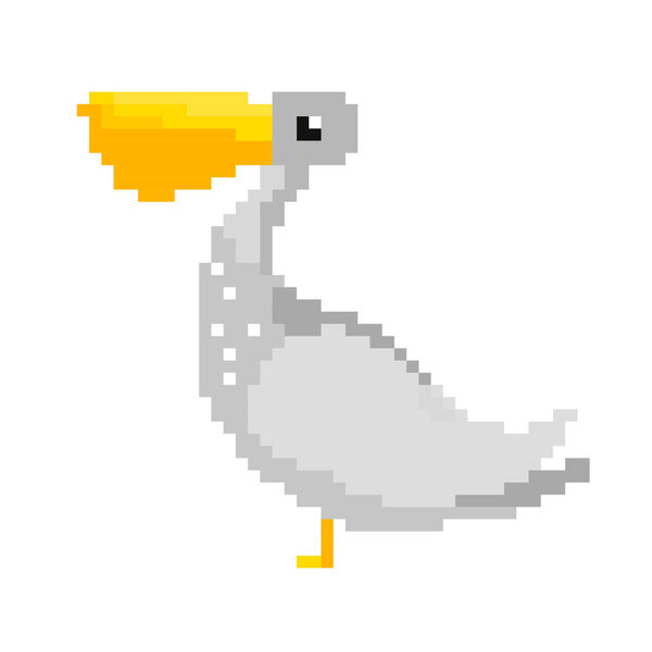 Графика пианиста Серого Пеликана. Векторная иллюстрация
