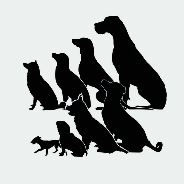 Silhouettes de chien assis noir nuit ensemble. Vecteur — Image vectorielle