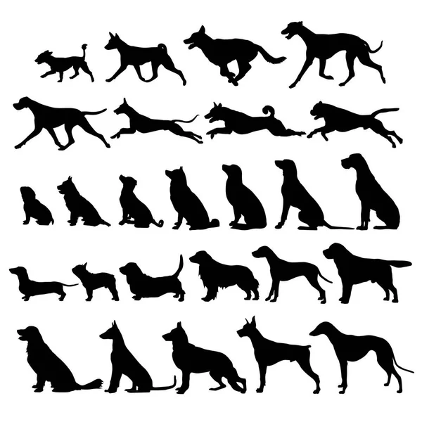 Image vectorielle des silhouettes du chien — Image vectorielle