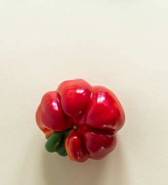 Son moda çirkin organik çiftlik kırmızı tatlı dolma biber üst görünüm, dikey, kopyalama alanı