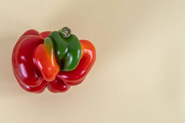 Mutasyon parçaları olan kırmızı tatlı dolma biber.