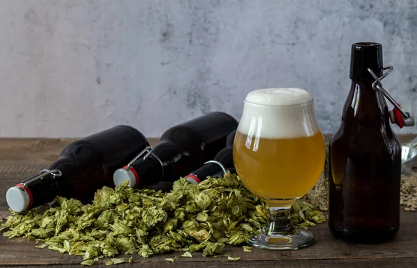 Szkło rzemieślnicze bladego piwa z warczącymi piwami i zielonym suchym chmielem. — Zdjęcie stockowe