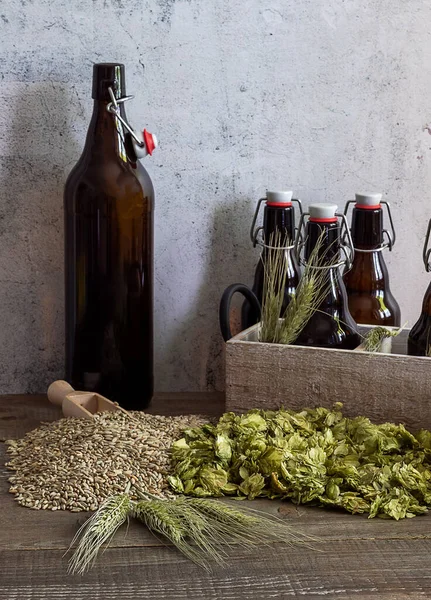 Beer growlers and ingredients. Home brewing. — Stock Photo, Image