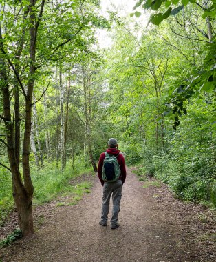 Yeşil bahar ormanında sırt çantalı yalnız bir turist..
