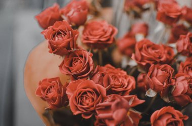 Kağıda sarılmış vazoda kırmızı güller.