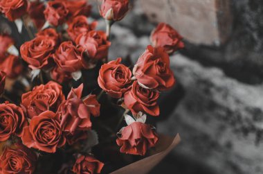 Kağıda sarılmış vazoda kırmızı güller.