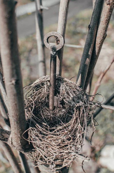 Bird\'s nest. Key lies in the hay. Reliable protection of the house.New housing, abstraction.Old rusty keys lying in an abandoned bird\'s nest