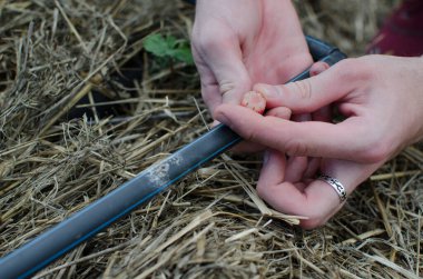 Sulama için bir damlatıcının tamiri ya da yenisi. Damlama sulama sisteminin yakın plan görüntüsü. Organik bahçede kullanılan su tasarrufu damlatma sistemi