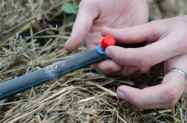 Sulama için bir damlatıcının tamiri ya da yenisi. Damlama sulama sisteminin yakın plan görüntüsü. Organik bahçede kullanılan su tasarrufu damlatma sistemi