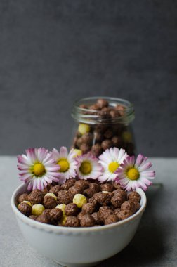 Gri bir zemine izole edilmiş çikolatalı mısır topları. Şeffaf ambalaj. Çiğ mısır gevreği. Şeffaf bir pakette gevrek. Spor kahvaltısı.