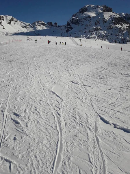 Катание Лыжах Горах Спорт Отдых — стоковое фото