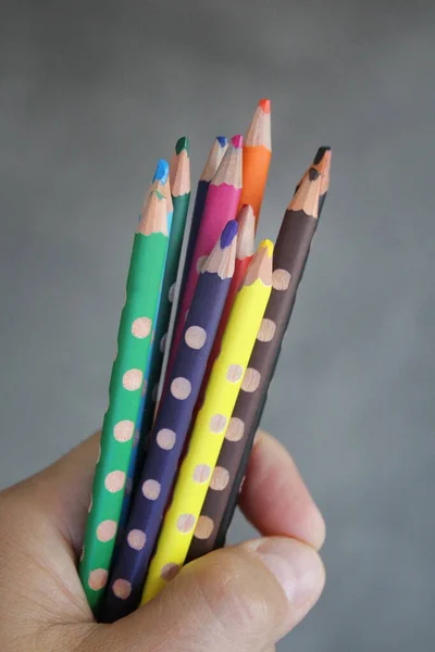 Színes Ceruzák Egy Művész Kezében — Stock Fotó