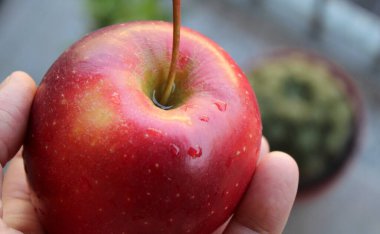 Baharda atıştırmalık elma ye.