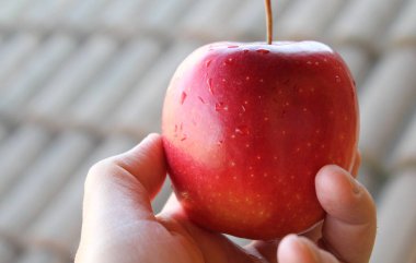 Baharda atıştırmalık elma ye.