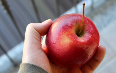 Baharda atıştırmalık elma ye.