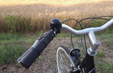 Bisikletle buğday tarlalarının yanında dolaşmak - spor ve rahatlama