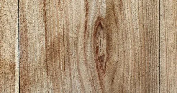 家具用木材又は背景用木材のサンプル — ストック写真