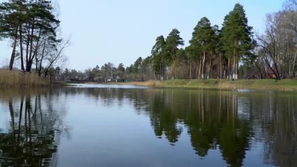 Lac sur le fond de la forêt 