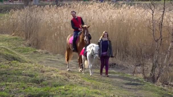 Jazda Konna Wzdłuż Jeziora — Wideo stockowe